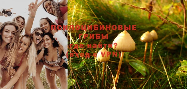 стаф Абаза