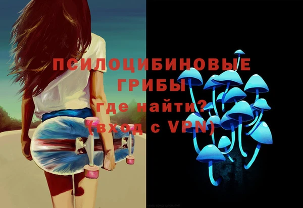 МДПВ Алексеевка