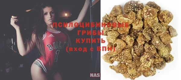 ешки Алзамай