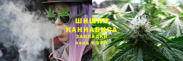 стаф Абаза